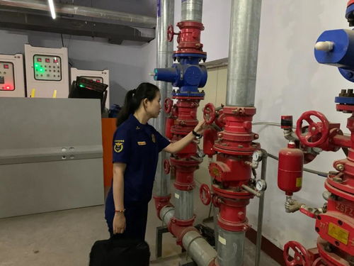 忻州支隊(duì)開展2021年全市消防技術(shù)服務(wù)機(jī)構(gòu)專項(xiàng)檢查行動(dòng)