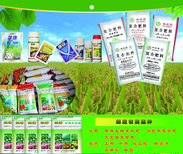 從江縣農(nóng)牧公司江西橋頭圖書館門面農(nóng)作物種子生產(chǎn) 堅(jiān)守鄉(xiāng)土，孕育豐收希望